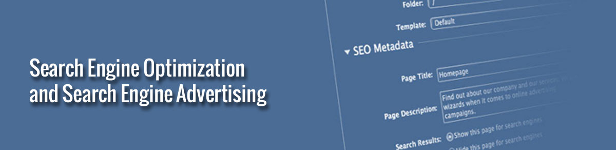 Search engine optimization and search engine advertising